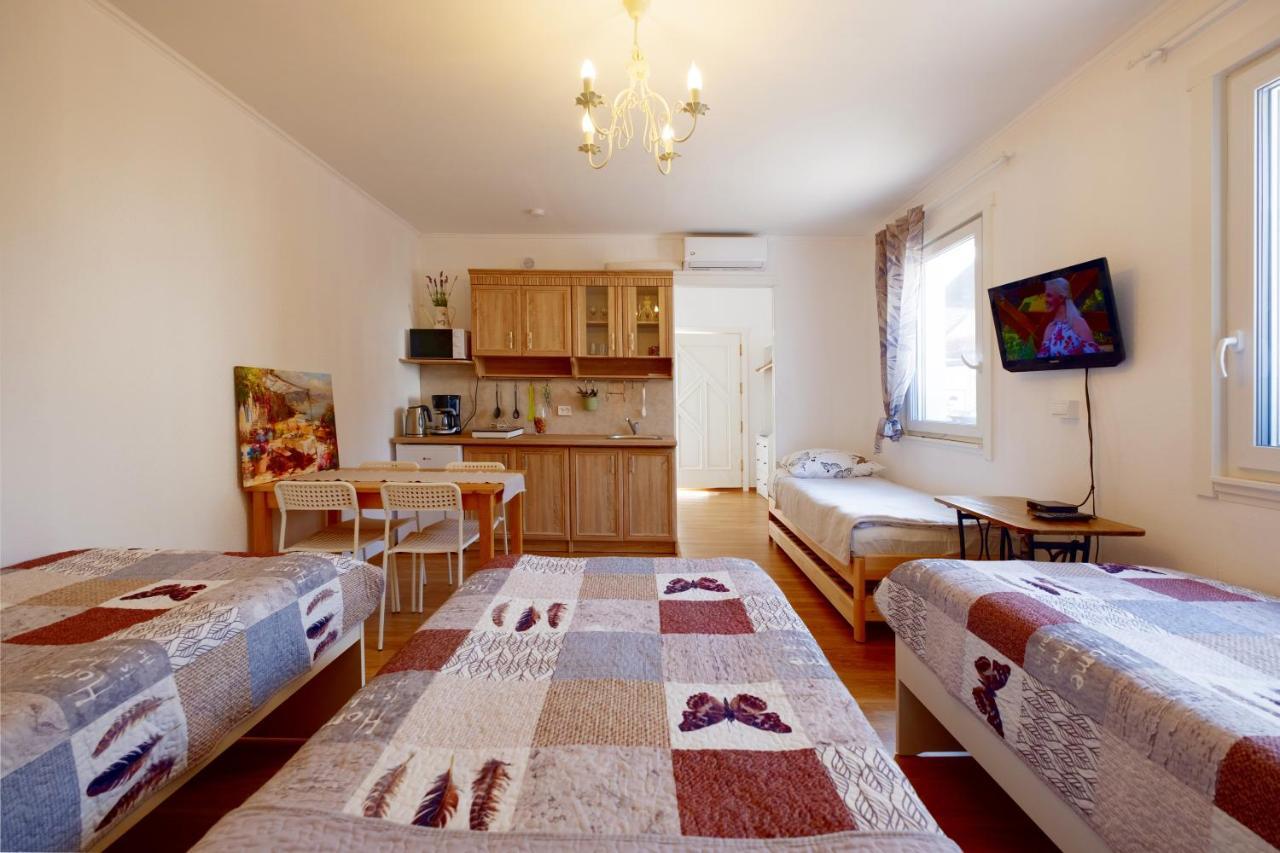 Eco-Lux Apart With Free Bicycles End Free Parking Ljubljana Luaran gambar
