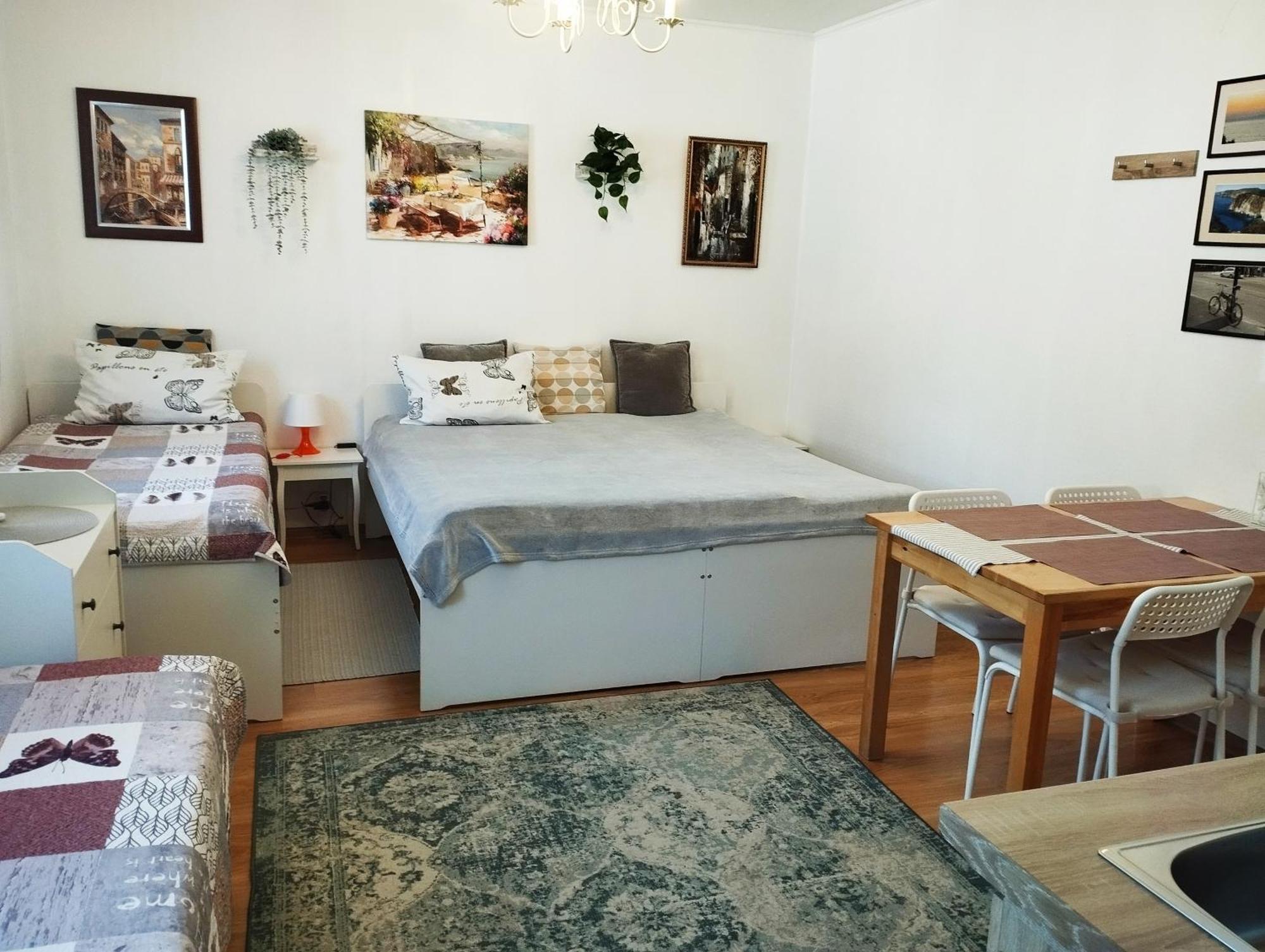 Eco-Lux Apart With Free Bicycles End Free Parking Ljubljana Luaran gambar
